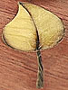 Aspen-Leaf Inlay
